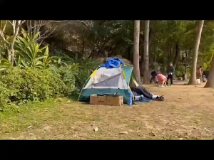 【COD】30-Pack 700ml Portable Emergency Urine Bag Sealed Leak Proof Odorless Disposable Plastic Garbage Container Suitable For Camping Road Travel Hiking MenS And WomenS Travel Camping Equipment