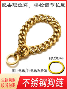 Dog Collar Hand Holding Rope Stainless Steel Lettering Dog Leash Golden Pet Medium-Sized Dog Medium Large Dog P Chain Dog Walking Necklace
