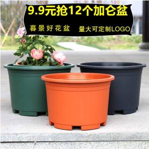 Thick Plastic Short Fat Gallon Flower Pots for Green Ivy Roses Succulents Large Diameter Outlet Special Price Small Gallon Pots