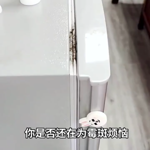 Washing Machine Silicone Mold Mildew Remover 120g 除霉清洁啫喱洗衣机