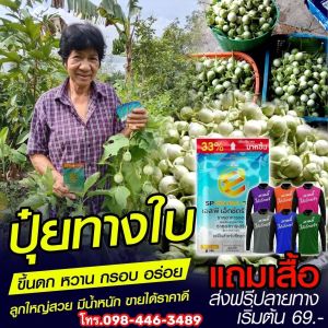 1 ซองใหญ่ ส่งฟรี - เอ็กตร้า พลัส 1ซองใหญ่ แถม 4ซองเล็ก ปุ๋ยอินทรีย์ อาหารเสริมพืช ปุ๋ยฮอร์โมนพืช กรดอะมิโน สารบำรุงพืช 24 ชนิด