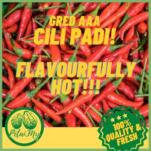 Petai.My - Cili Padi Gred AAA