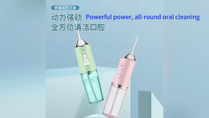 (SG) Portable Dental Water Flosser Oral Cleaning Irrigator 4 Nozzles 3 Modes USB Rechargeable IPX6 220ml Mouth Teeth