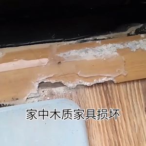Woodworm insecticide solid wood furniture wood-boring woodworm insecticide wood floor insecticide powdery beetle removal household termite removal