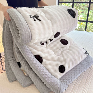 Double-Sided Fleece Washable Winter Quilt Bean Bag Adult Single Bed Warm Thermal Polyester Fiber Filling Durable Stitching