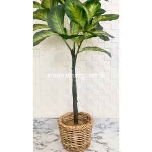 Tanaman Hias Pohon Daun Bahagia Hijau X3 T140 Latex Artificial Pot Dasar Cover Anyaman Rotan Bulat Dekorasi Ruang Kantor
