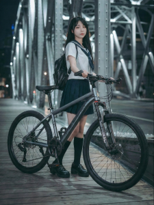 HONGQI | Alloy Mountain Bike Variable Speed for Students and Adults