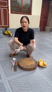 Kéo cắt gà vịt chuyên dụng có trợ lực kéo cắt đa năng thép không gỉ siêu khỏe có khóa an toàn - Kéo Mẫu Mới 2026