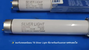 Silver Light หลอดนีออน T8/10W ยาว 34.5 CM แสง Day Light รุ่น Eco มีมอก