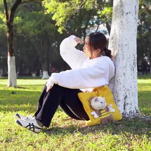 [Hỏa tốc] Túi tote vận chuyển thú cưng vải canvas ong vàng dễ thương túi vận chuyển chó mèo