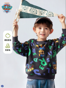 Paw Patrol | Stylish and Trendy Boys Hoodie Spring/Autumn