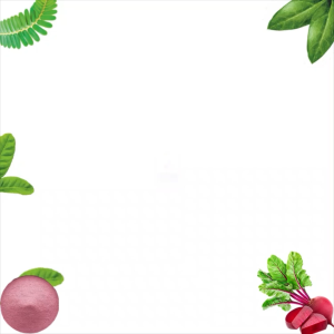 4X APAPA Beetroot Powder 100g #Marche Family Shop#