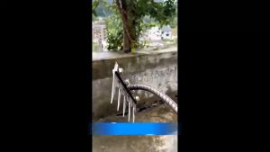 🧑🌾คราดเก็บหญ้า คาดหญ้าเหล็ก คราดฟันฉลาม คราดเหล็ก คราด คราดมีด้าม คราดหญ้า อุปกรณ์แต่งสวน garden tools จอบถากหญ้าคมๆ คราดถอนวัชพืช คราดทำสวน ใช้ขุดดิน ขุ่นถางหญ้าดายหญ้า จอบเล็กถากหญ้า จอบคราดหญ้า จอบ ถาก หญ้าคมๆ