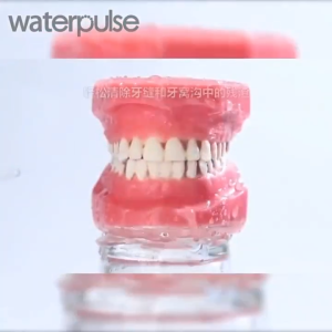 Tefal Dental Oral Irrigator Water Flosser Pick For Teeth Cleaner Thread Mouth Washing Machine 300ml 5 Nozzles 洗牙器