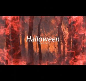 Đèn led Hình Nón Phù Thủy Trang Trí Halloween