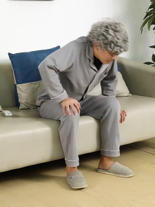 [SG Stock]Elderly Armrest Assist - Non-Slip Standing Aid for Sofa/Bed (Disability & Senior Support)