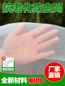Insect-Resistant Mesh Window Screen Net Mosquito Proof for Chicken Coop Yard Fruit Trees Anti-Aircraft Home Use
