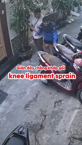 Kem Xoa Bóp Giảm Đau Xương Khớp LANZF CHONDROITIN – Gel Massage LANZF Phục Hồi Đau Xương Khớp Thắt Lưng Cổ Vai Gáy