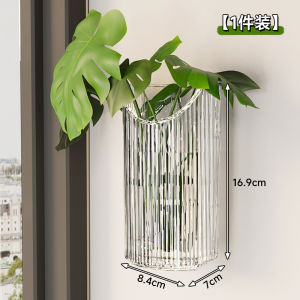 ชั้นวางต้นไม้ติดผนังแบบติดผนังใสสำหรับปลูกในน้ำ ชั้นวางต้นไม้แบบติดผนังสำหรับตกแต่งบ้านและสวน อุปกรณ์จัดระเบียบ