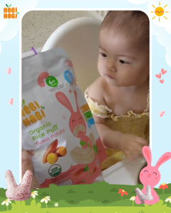 Nobi Nobi Organic Rice Puff Original Flavour 40g (Healthy Baby Snack)