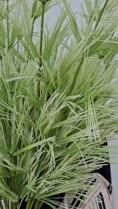 New Aksesoris Daun Bambu Panjang Hias Dekorasi Pernikahan