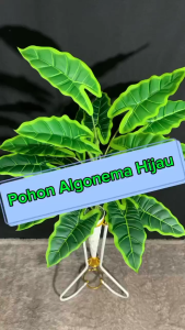 Set Tanaman Hias Algonema daun hijau artificial dekorasi pot standing keladi plastik hiasan ruangan