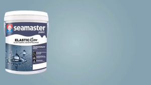 ( 1KG ) Seamaster Paint Elastic Klear Elastomeric Waterproofing TRANSPARENT FINISH ( FREE 1.5" BRUSH )