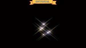 Furlove All Life Stages Tuna Salmon Makanan Kucing Cat Food 1Kg