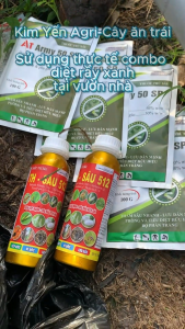 Phòng trừ trị rầy xanh rệp sáp rầy phấn bọ trĩ sâu đục thân và mọt đục cành gây hại sầu riêng mát cây mát bông không nóng an toàn cho giai đoạn bông và trái non