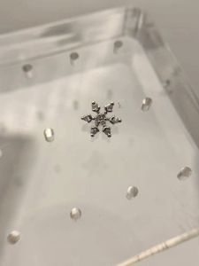 Cute Snowflake Design Replaceable Buried Bone Nail Skin Nail Screw Ear Bone Nail Lip Nail Inner Thread Universal Fashion Jewelry