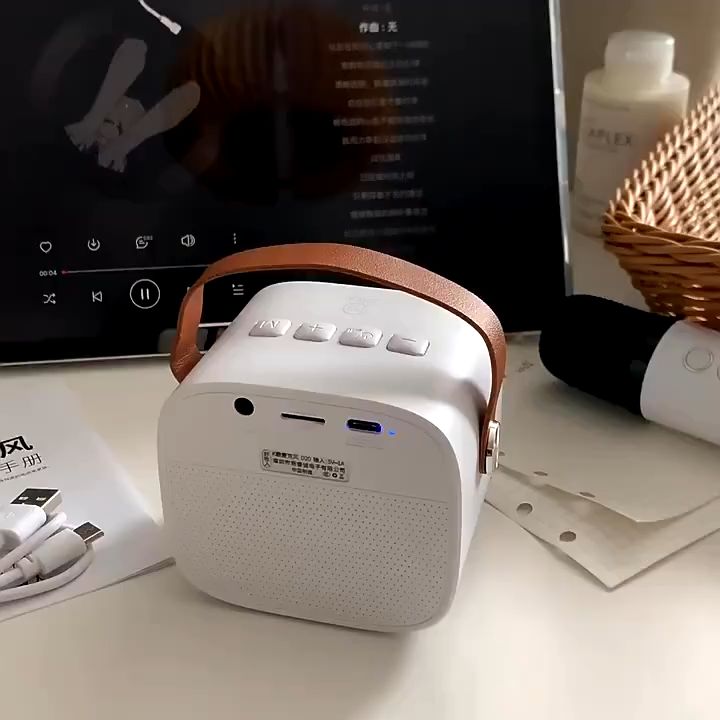 Portable Bluetooth Mini Karaoke Machine Wireless Dual Microphone