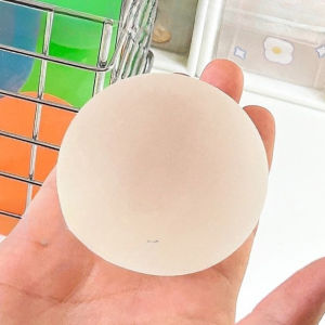 CHUTAI | Maltose Squishy Toy Stress Ball Cute Mochi Anti Stress Fidget Toy Soft Simulated Bule Transparent Ball Quick-rebound Squeeze Toy