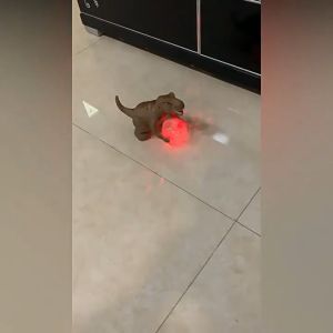 Electric Stage Lighting Dinosaur Toy Mechanical Crawling Dazzling Light Sound Effect Tyrannosaurus Rex Simulation Model