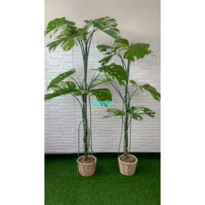 Pohon Artificial Tanaman Hias Monstera Variegata T170 & T190 Latex Cover Pot Rotan Bulat Dekorasi Kantor Aesthetic