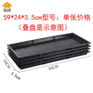 Black Sprout Dish Planting Seedling Tray Bean Sprouting Wheatgrass Sprout Seedling Tray Succulent Seeding Culture Box