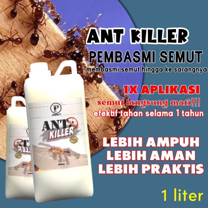 Ant killer / Obat pembasmi semut 1ltr | Lazada Indonesia