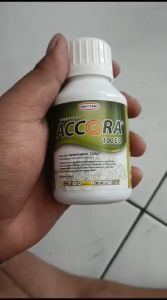 Insektisida Accora 100EC Kemasan 100ml Untuk Hama Cabai & Kelapa Sawit