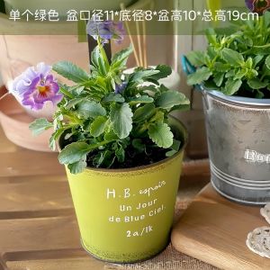 Outdoor Iron Art Flower Pot Hanging Bucket Decorative Succulent Planters Courtyard Terrace Balcony Garden Arrangement Decor