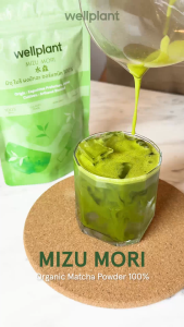 [ลด30%]มิซุ โมริ ผงมัทฉะ 100% ออร์แกนิก 100g | wellplant