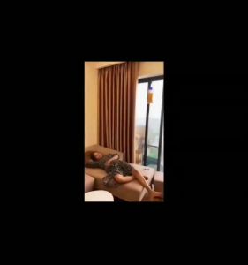 Bộ túi thải độc đại tràng coffee enema thụt tháo đại tràng caphe enema thải độc cà phê súc ruột 1200ml -Loki Home