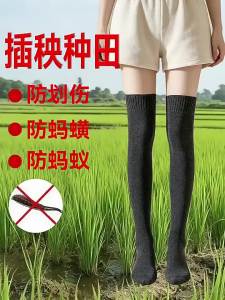 FENGTING | Mosquito Prevention Leech Repellent Water Resistant Long Socks