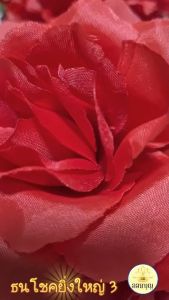 มาลัยกู้กับแดง 29 นิฉัว 5 ชายกู้กับแดง รุ่นธนโชคยิ่งใหญ่ 3 (ขาดเล็ก) พื้นที่ผ่าตัด 2 ปริมาณ