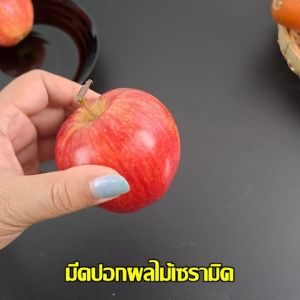 Indyplastic มีดปอกผลไม้ เซรามิก ที่ปอกผลไม้ ใบมีดเซรามิก ด้ามจับมีรูแขวน พร้อมส่งจากไทย