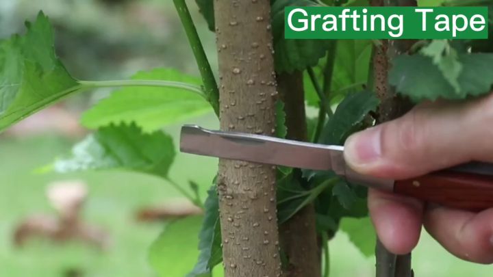 Eco Garden Plastic Film Grafting Film SelfAdhesive Packaging Stretch