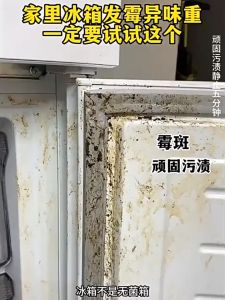 Refrigerator Cleaner Spray mold remover mould remover Fridge Deodorizer Remove 99.9% Of Germs Fridge Cleaner Deep Cleaning Deodorizer Stain Removal Air Purifie