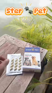 Ster Pet ชุดพิเศษครบรอบ3 ปี ยิ่งซื้อยิ่ง แถม