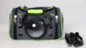 Túi Thú Cưng Xe Hơi Đa Năng Túi Mèo Di Động Túi Thú Cưng Không Gian Có Thể Gập Lại Túi Chó Xách Tay Đi Ra Ngoài