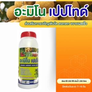 กรดอะมิโน เปปไทด์ เพิ่มผลผลิต ดูดซึมปุ๋ยดี ช่วยบำรุงพืชได้ทุกชนิด ขนาด 1 ลิตร