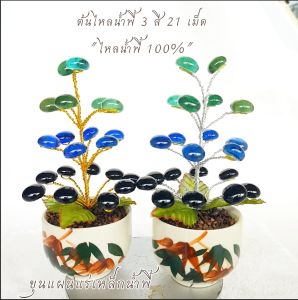 3 สี 21 มิติ พิเศษ ต้นไหลน้ำพี้ พิเศษ ที่มีประสบการณ์ให้ถูกสนับสนุน 100% รับประกันของแท้จากบ่อเหล็กน้ำพี้ จ.อูเต็ด