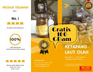 FREE Ektrak 250ml Daun ketapang laut OLAHAN SIAP PAKAI TANPA MINYAK 1KG